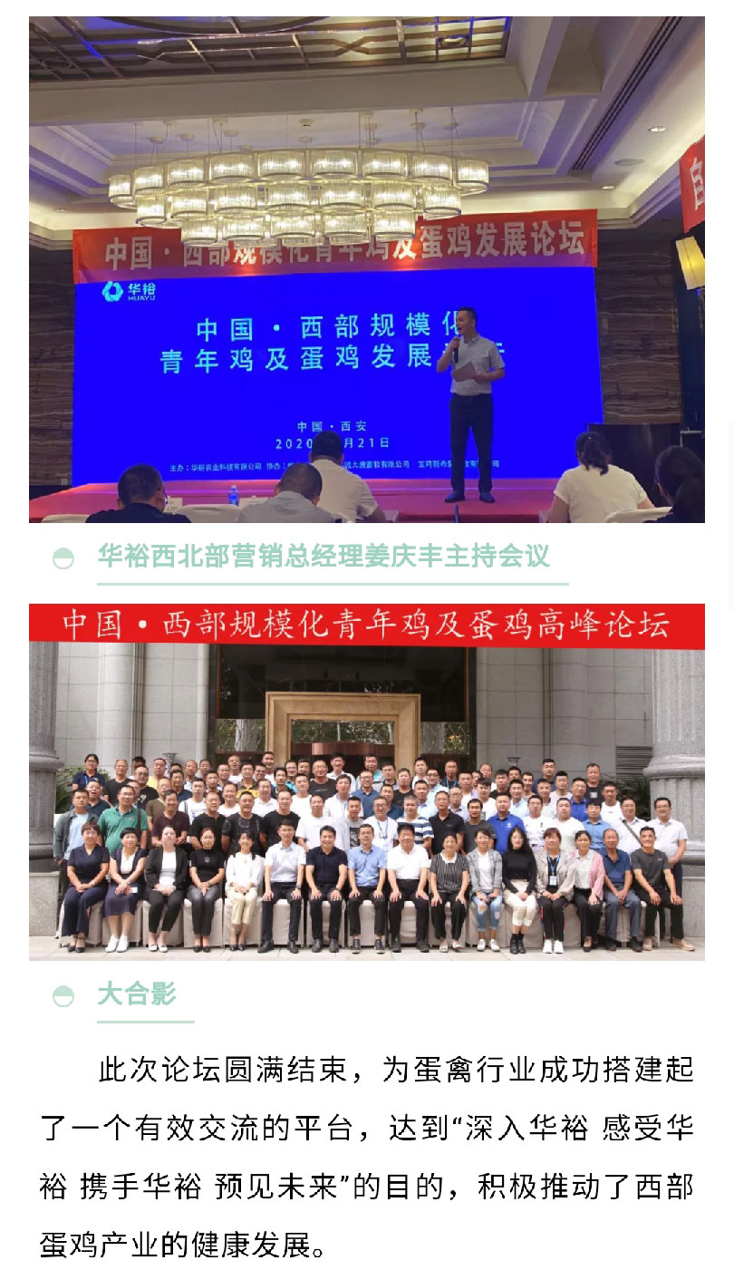 澳门十大电子游戏入口网站