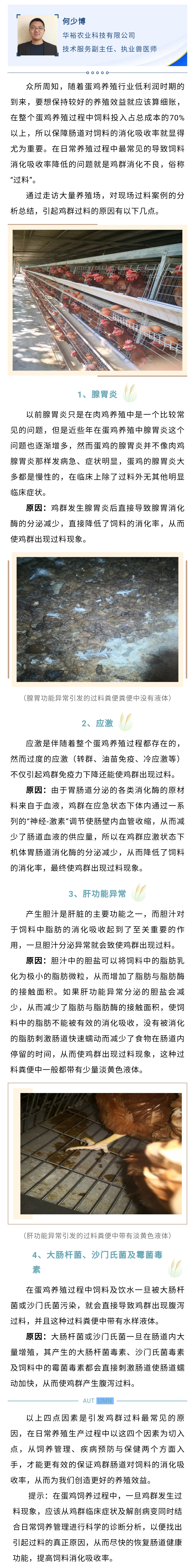 澳门十大电子游戏入口网站