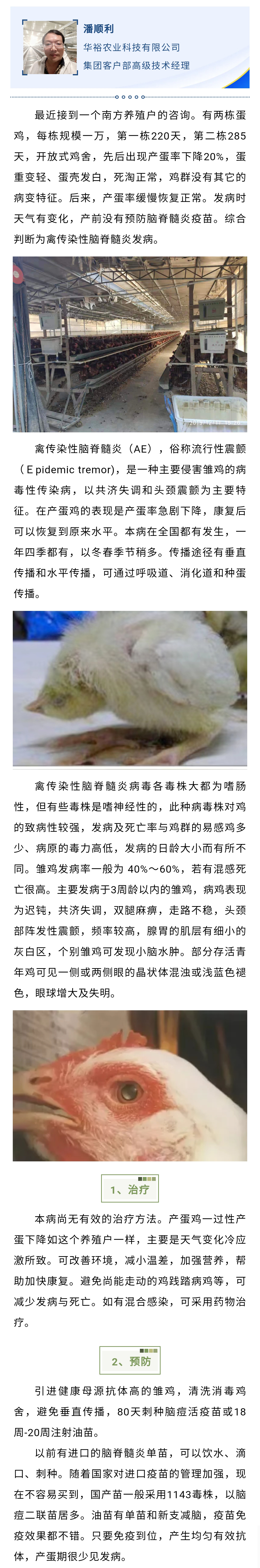 澳门十大电子游戏入口网站