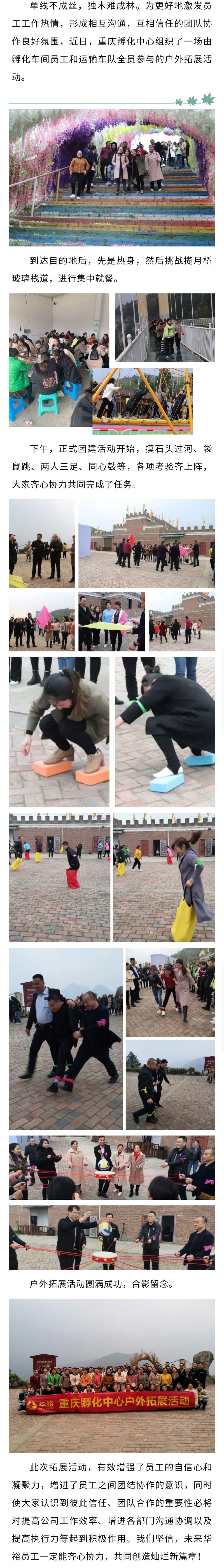 澳门十大电子游戏入口网站