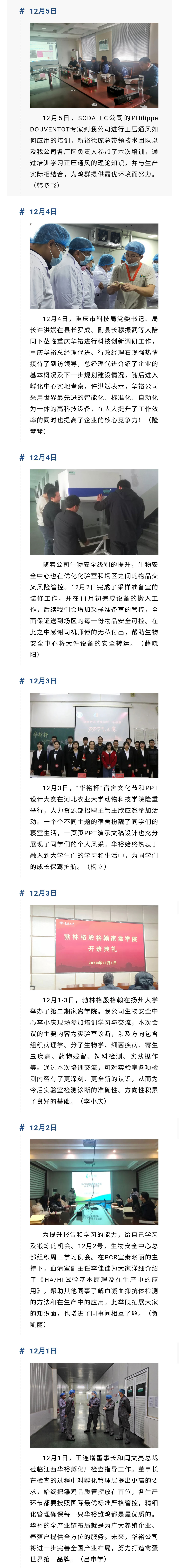 澳门十大电子游戏入口网站