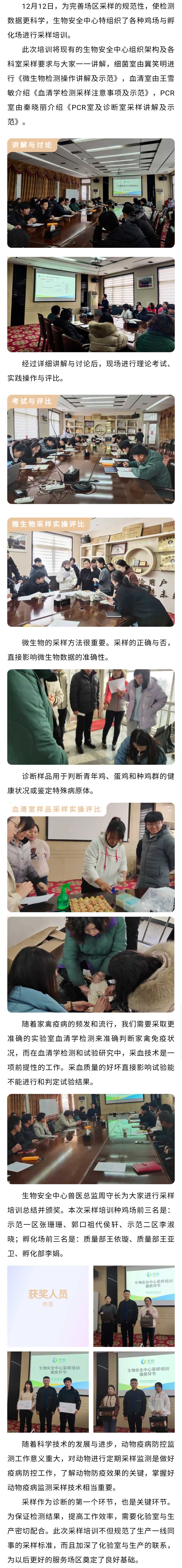 澳门十大电子游戏入口网站