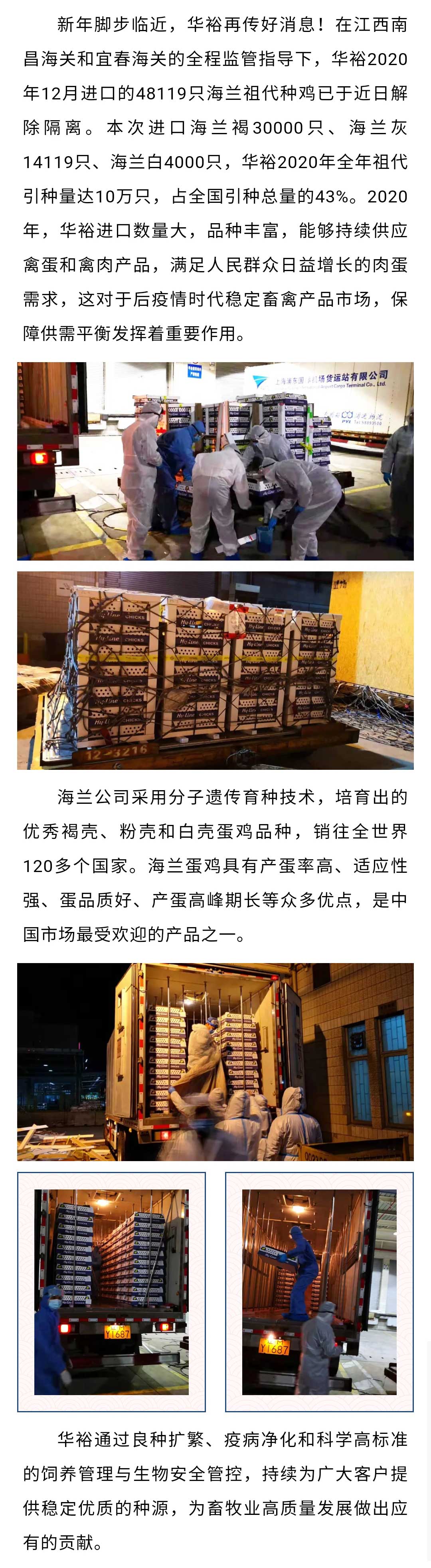 澳门十大电子游戏入口网站