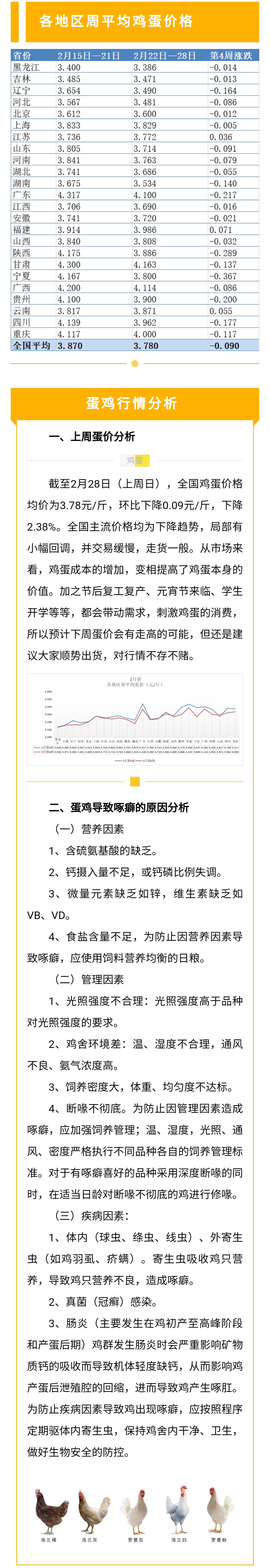 澳门十大电子游戏入口网站