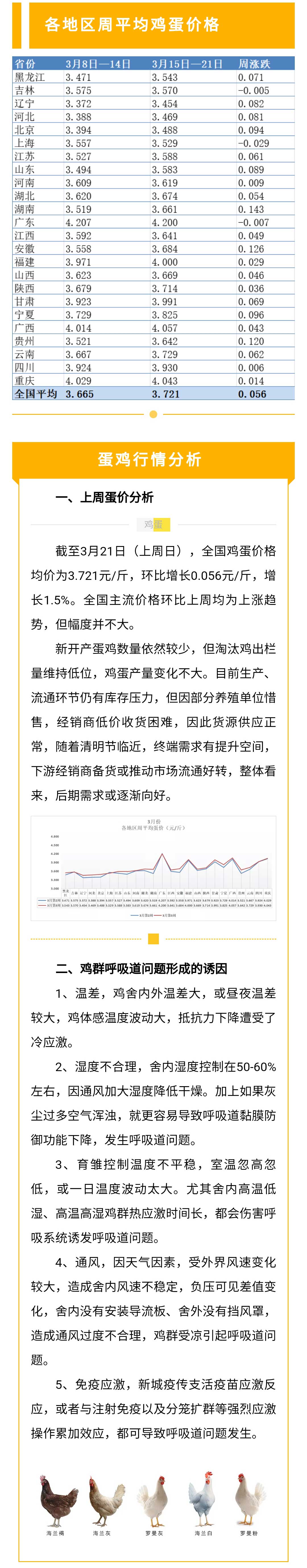 澳门十大电子游戏入口网站