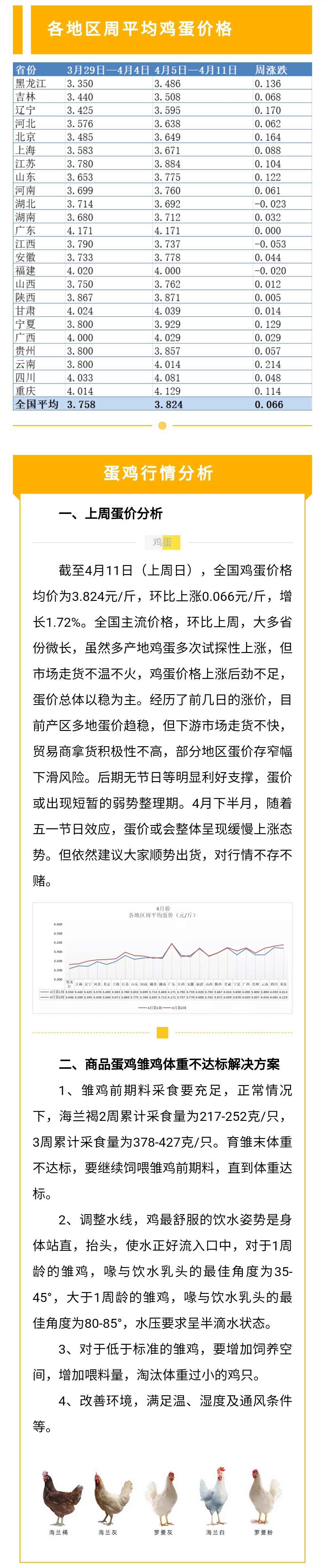 澳门十大电子游戏入口网站