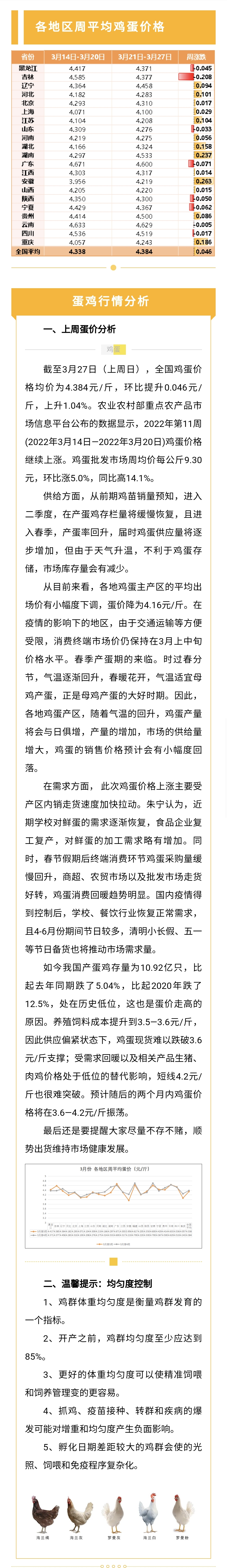 澳门十大电子游戏入口网站