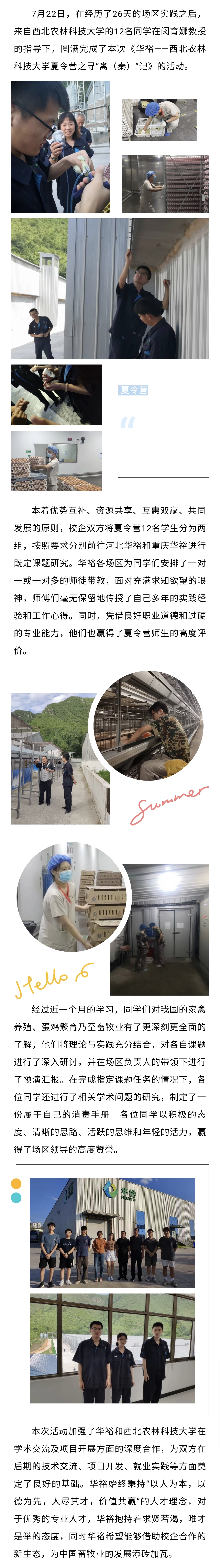 澳门十大电子游戏入口网站