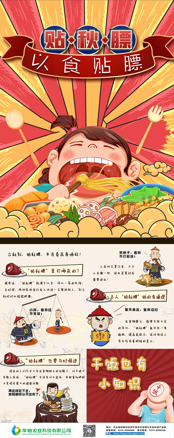 澳门十大电子游戏入口网站