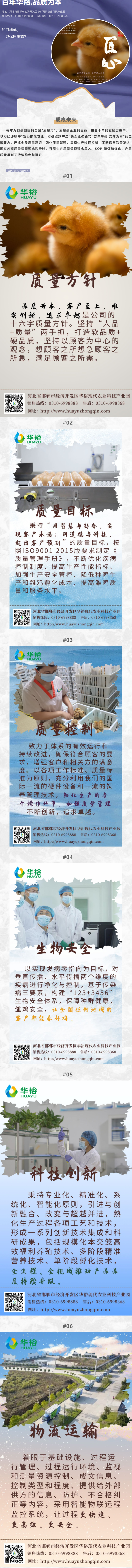 澳门十大电子游戏入口网站